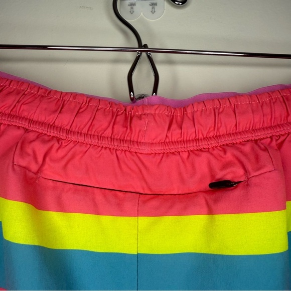 CHUBBIES Hotdoggers Swim Volleys Neon Stripe 4” Inseam Lined Swim Trunks Shorts - Picture 11 of 12